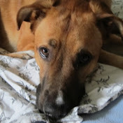 Profile Picture of Arnold Allen (@arnoldallen8985) on Youtube