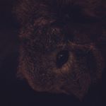 Profile Picture of George Andrews (@george_andrews_xp) on Instagram