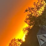 Profile Picture of Joel Fiedler (@Joel-Fiedler) on Facebook