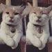 Profile Picture of Casey Layton (@laytoncn) on Pinterest