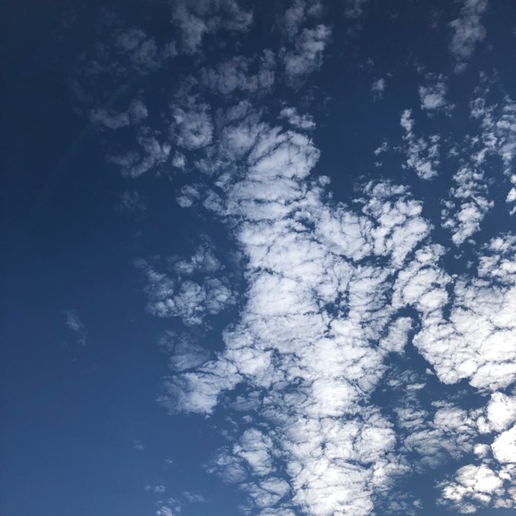 Profile Picture of Lori Mitchell (@loloboojo) on Poshmark