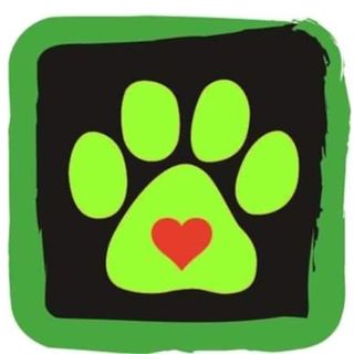 Profile Picture of Panora PETS (@panorapets) on Instagram