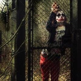 Profile Picture of Terry Allan (@TerryAllan22) on Twitter