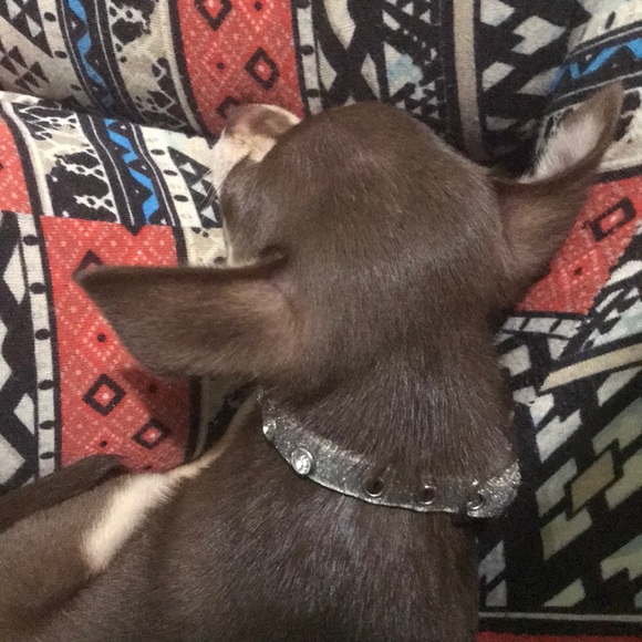 Profile Picture of Kaitlyn Lisby (@kaekae748) on Poshmark