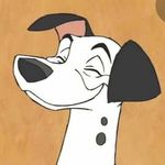 Profile Picture of Andrew MacGillivray (@kookdr3w) on Instagram