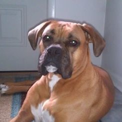 Profile Picture of Karen B. Carman (@KarenBCarman513) on Twitter