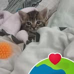 Profile Picture of Delphine Hab (@Delphine-Hab) on Facebook