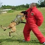 Profile Picture of Luis Coreano Sr. (@coreanosr.luis) on Instagram