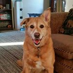 Profile Picture of Darlene DeVries (@freezey1) on Instagram