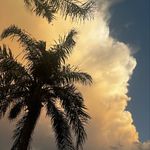 Profile Picture of 2017!,Gregorio (@greg__gallegos) on Instagram