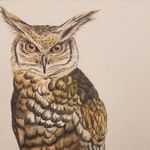 Profile Picture of An Old Joyous Owl 🦉 (@giantsequoia_) on Instagram