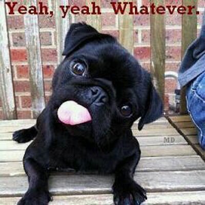 Profile Picture of Austin Killian (@AUSTINPOWERS902) on Twitter