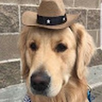 Profile Picture of Jesse Poirier (@jesse-poirier-4) on Quora