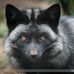 Profile Picture of Ken Socha (@ken.socha.18) on Facebook