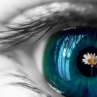 Profile Picture of Natália Schneider (@natália-schneider) on Quora