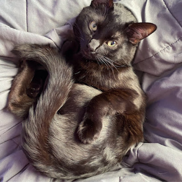 Profile Picture of Isaac Garcia (@bruizzy) on Poshmark