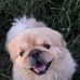 Profile Picture of Toby Leo (@toby.leo.777) on Facebook