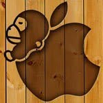 Profile Picture of jason zhu (@jasonzhu) on Instagram