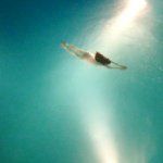 Profile Picture of Julia Baylis (@othergirl_julia) on Instagram