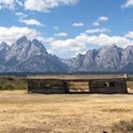 Trina Higgins - Instagram Profile Picture of Trina Higgins (@flynsolo001) on Instagram