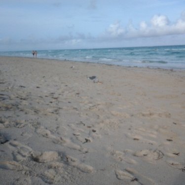 Profile Picture of Sandra Morton (@SoMo2009) on Twitter