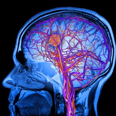 Profile Picture of Jennifer McGee (@JennysMusings) on Twitter