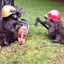 Profile Picture of Peter Suchy (@SuchyPeter) on Twitter