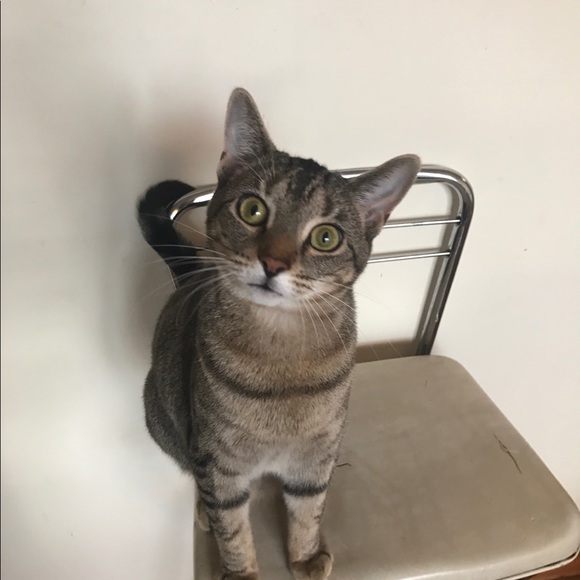 Profile Picture of Zach Guca (@zguca24) on Poshmark