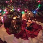 Profile Picture of David W Fiess (@david.fiess) on Facebook