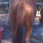 Profile Picture of David Burkham (@davidburkham) on Instagram