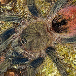 Profile Picture of Craig Mackay (@craig mackay) on Flickr