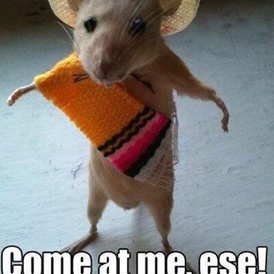 Profile Picture of Matthew McKenzieon Twitter