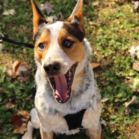 Profile Picture of Laura Nilson (@lauranilson) on Poshmark