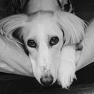 Profile Picture of Clare Draper (@Clare-Draper) on Facebook