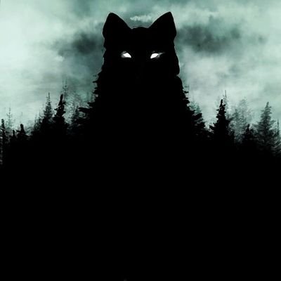 Profile Picture of Chris Randell Hawkins (@bryson_randell) on Twitter