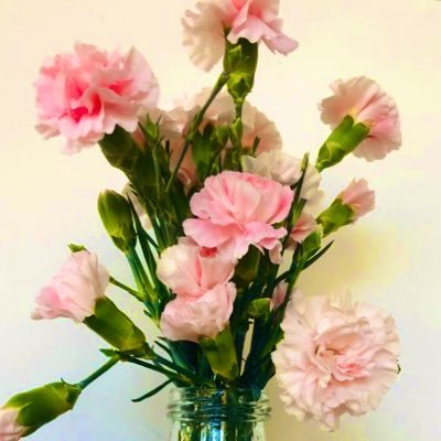 Profile Picture of Lucy Fryer (@LucyFryer5) on Twitter