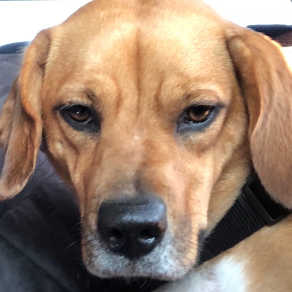 Profile Picture of Martina Egerer (@egererma) on Poshmark