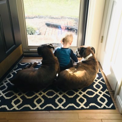 Profile Picture of Austin Krause (@AKrause81) on Twitter