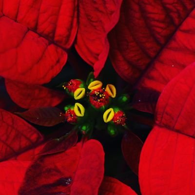 Profile Picture of Debbie Hsu (@DebbieHsu13) on Twitter