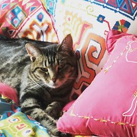 Profile Picture of Casey Hamel (@casey-hamel-5) on Quora