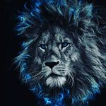 Profile Picture of haneef graam (@haneef_graam) on Instagram