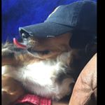 Profile Picture of Julia Tyson (@tyson.julia) on Instagram