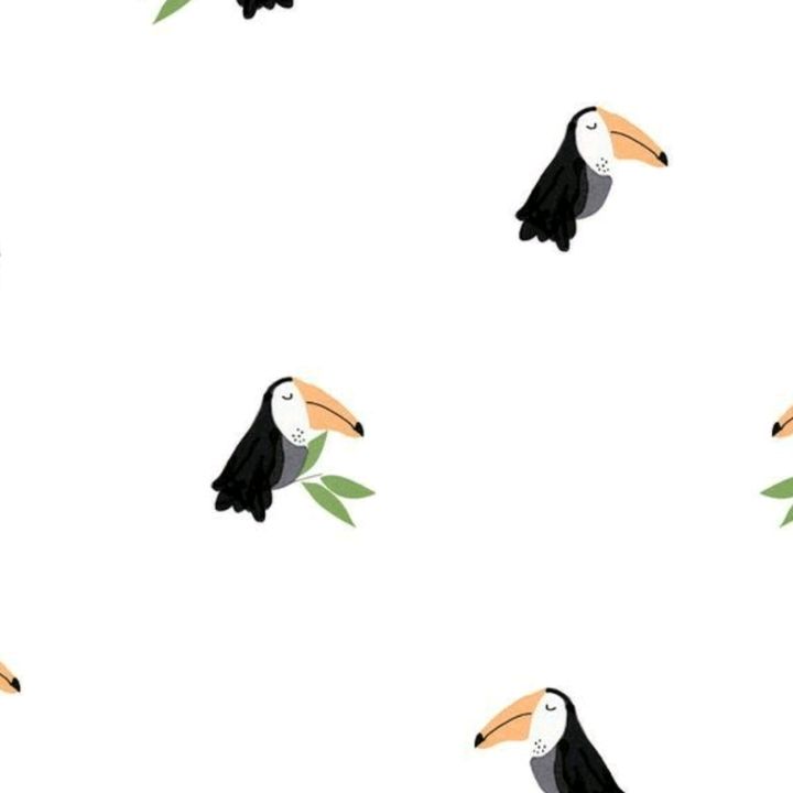 Profile Picture of amber (@amberrbarger) on Tiktok