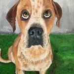 Profile Picture of Michele Calderon (@michele.calderonmr) on Instagram