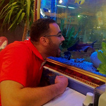 Profile Picture of Alaa Nofal (@alaa nofal) on Flickr