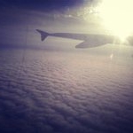 Profile Picture of larsinanovak (@larsinanovak) on Instagram