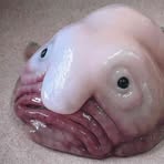 Profile Picture of Robert Hooker (@Robert-Hooker) on Facebook