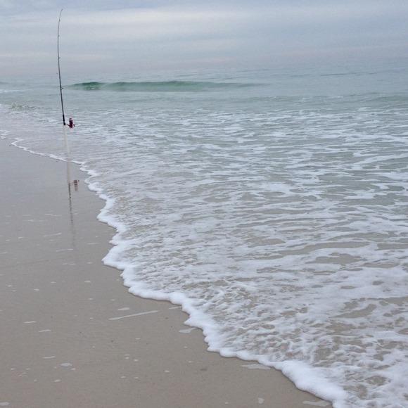 Profile Picture of Lauren Cascarella (@lcascarella) on Poshmark