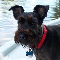 Profile Picture of Kelly Brandon (@kelly-brandon-4) on Quora