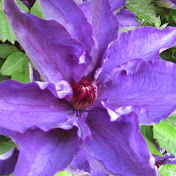 Profile Picture of Richard Menges (@richardmenges3126) on Youtube